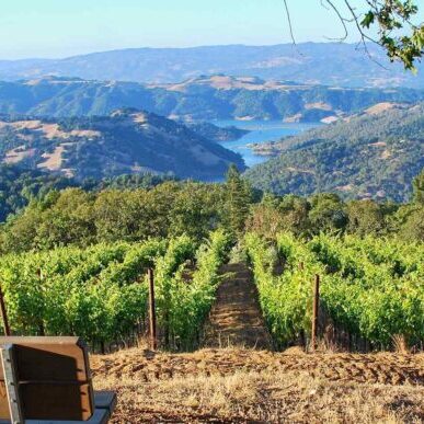 Lake Sonoma