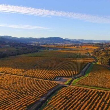 Dry Creek Valley