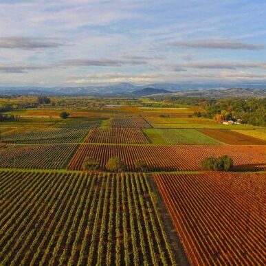Russian River Valley
