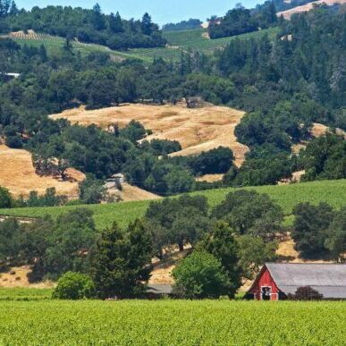 Alexander Valley AVA